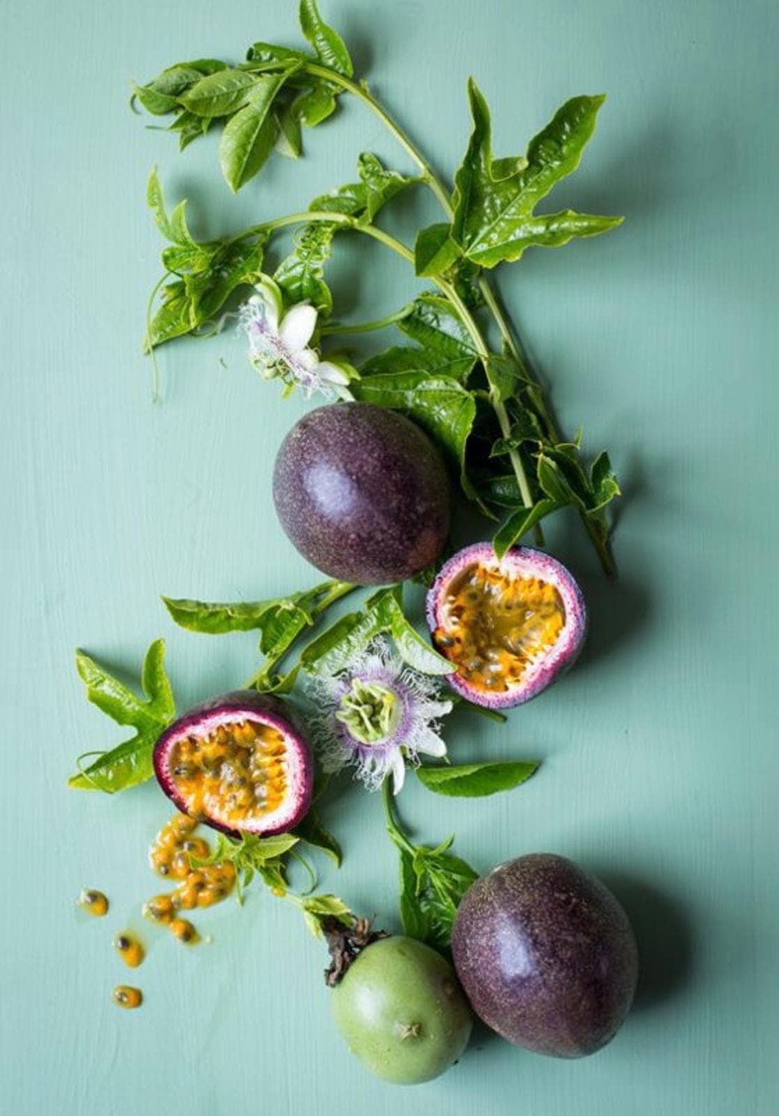 Passion Fruit